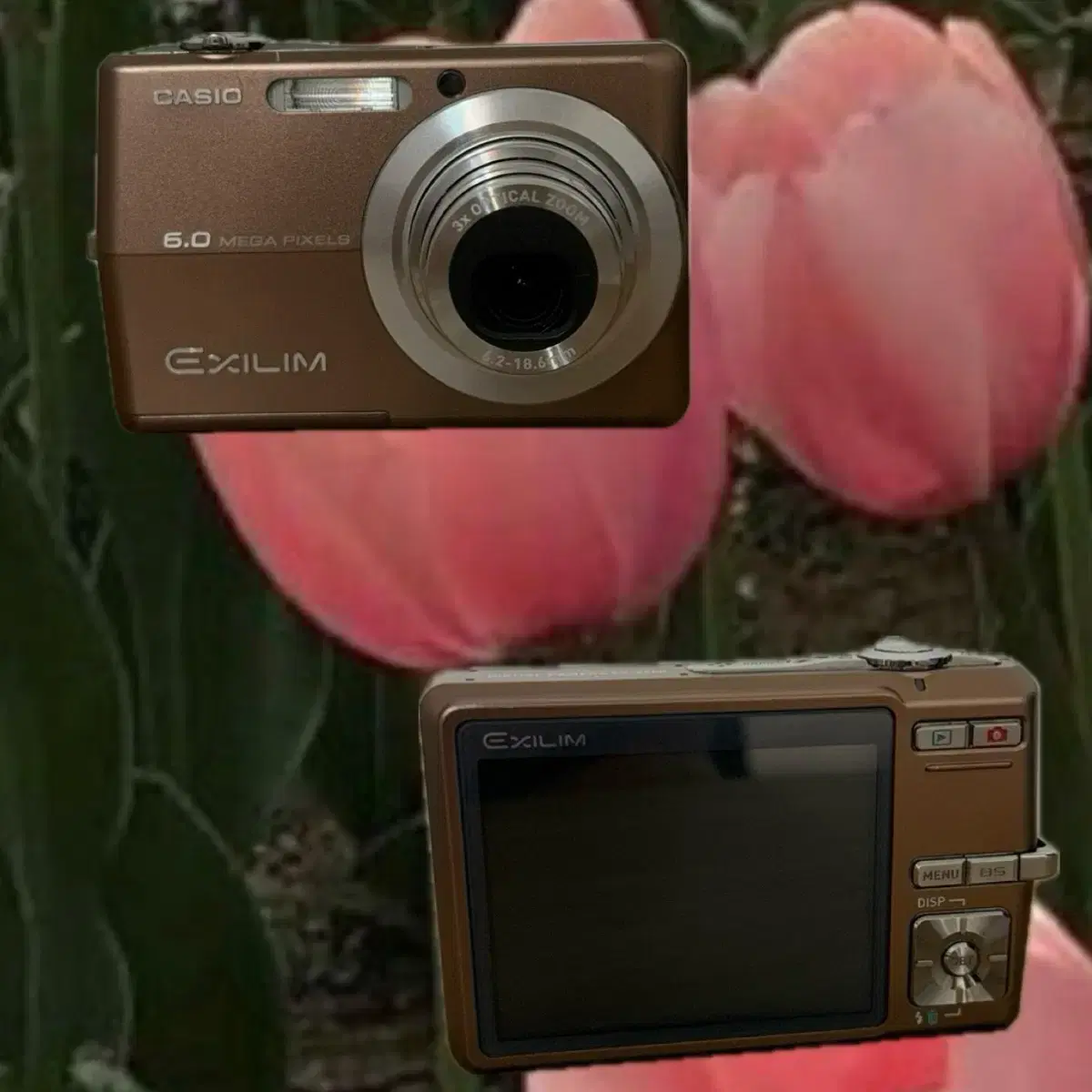 CASIO EXILIM EX-Z600 ブラウン Amazon.co.jp: CASIO EXILIM ZOOM EX-Z600 Digital Camera